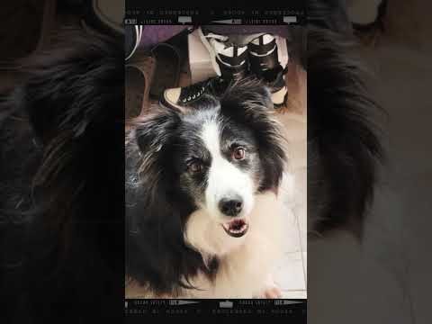 Latest photo of I.M (MONSTA X)