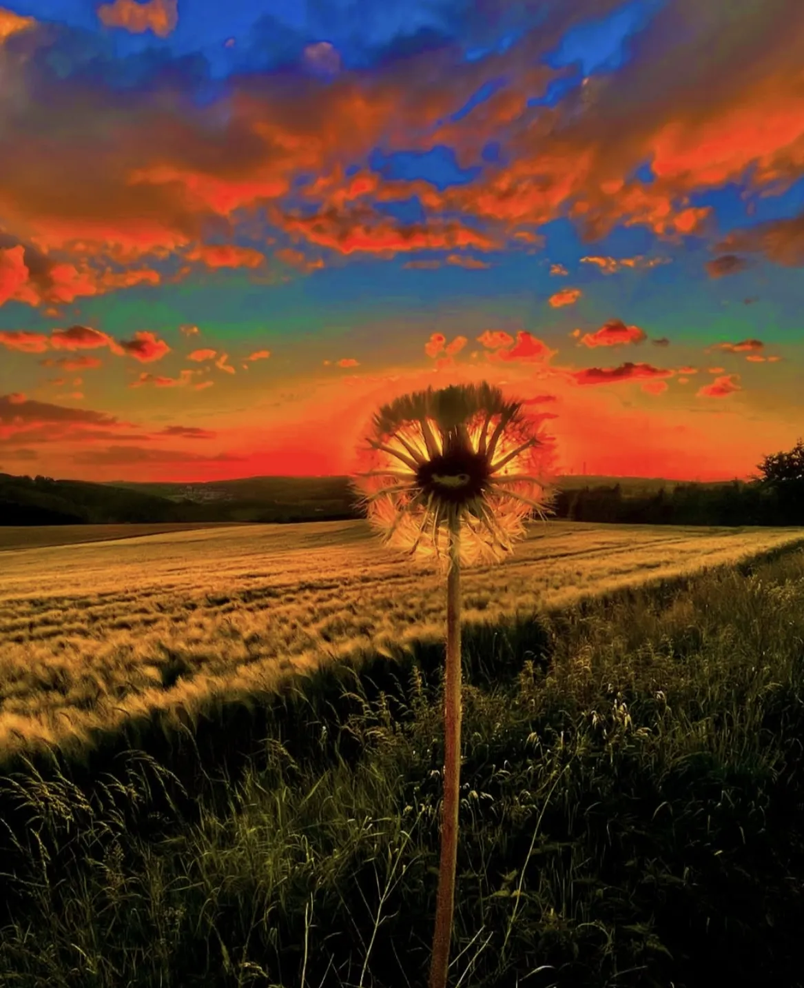 Latest photo of Moonbin (ASTRO)