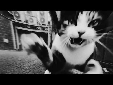 成淏 (BOYNEXTDOOR)粉絲拍下的瞬間