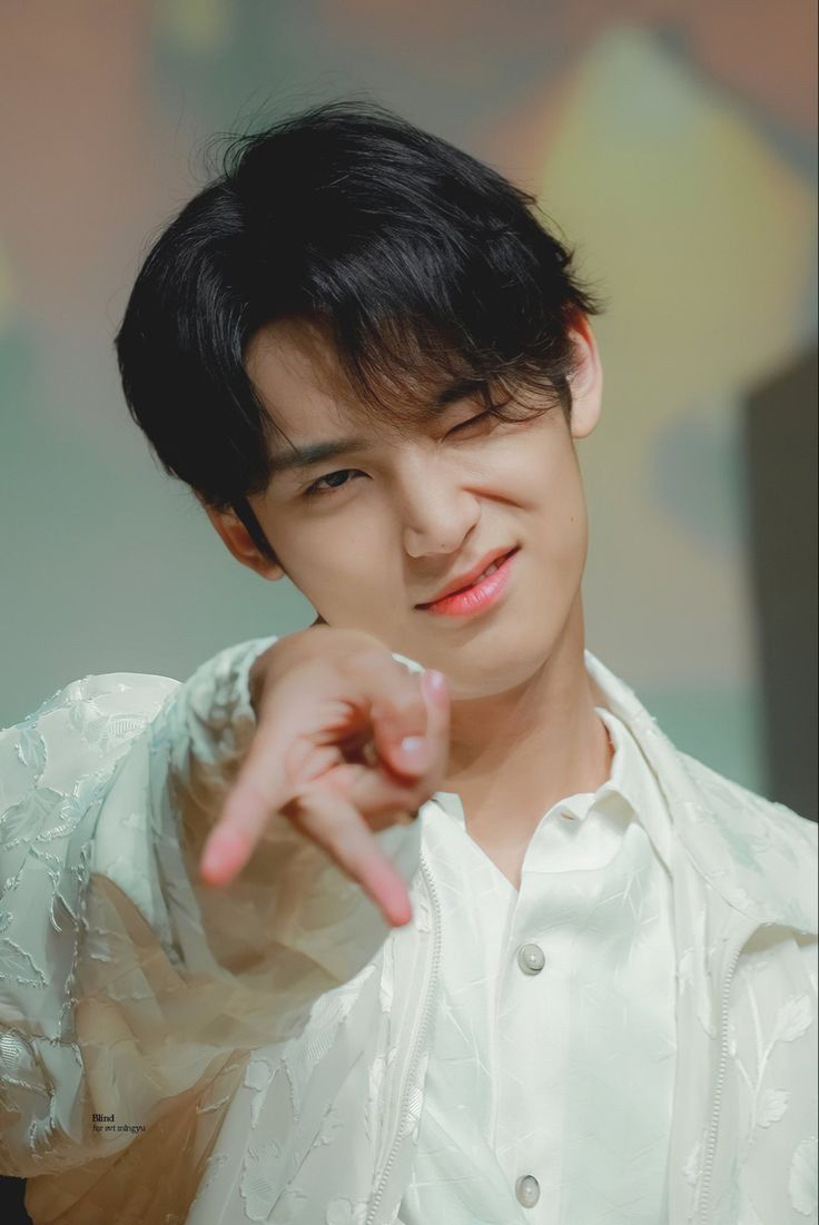 세븐틴 팬이 찍은 순간