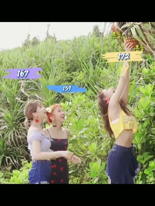 쯔위 (TWICE) 최근 활동샷