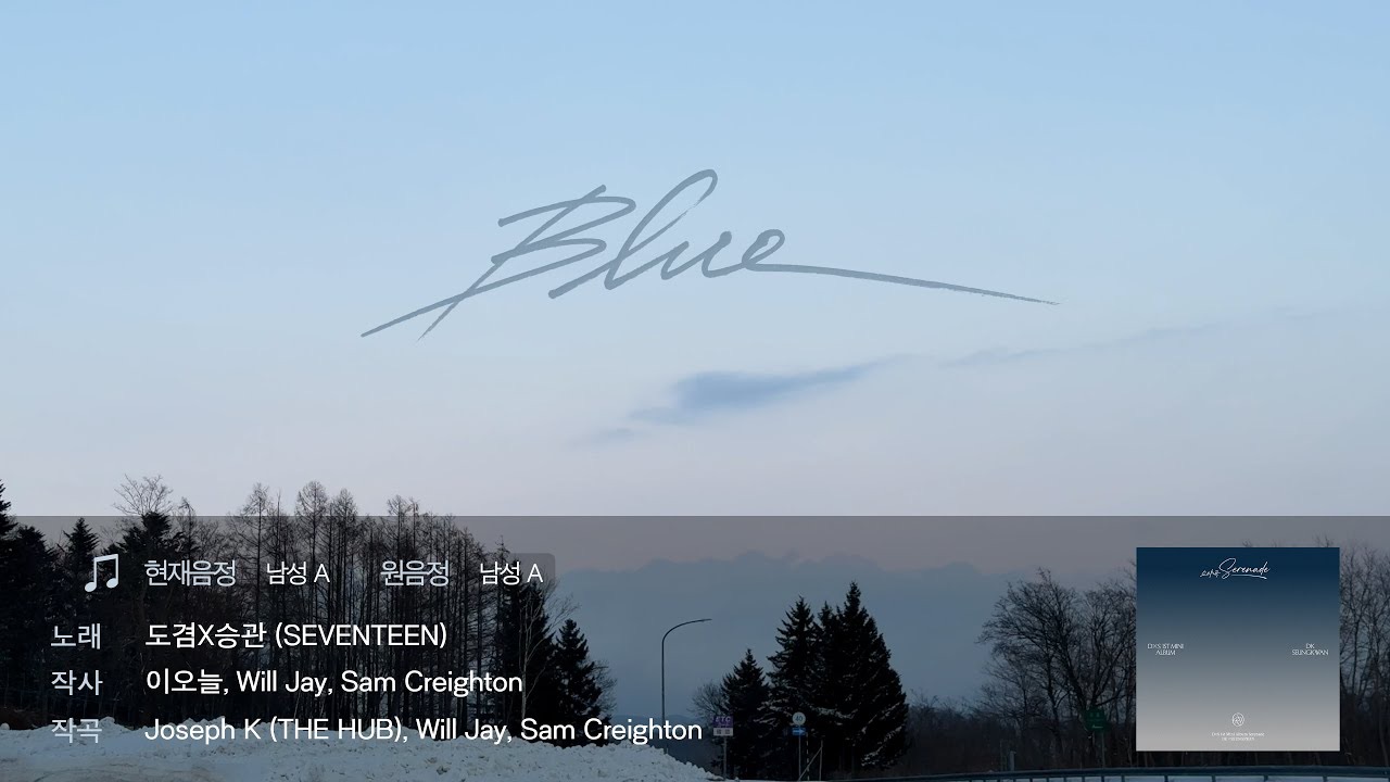 세븐틴 팬이 찍은 순간