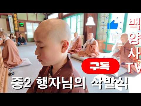 TWICE의 최신 사진