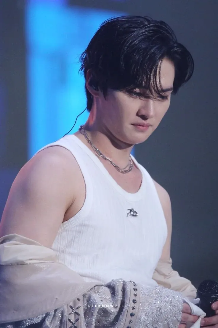 Latest photo of Lee Know (Stray Kids)