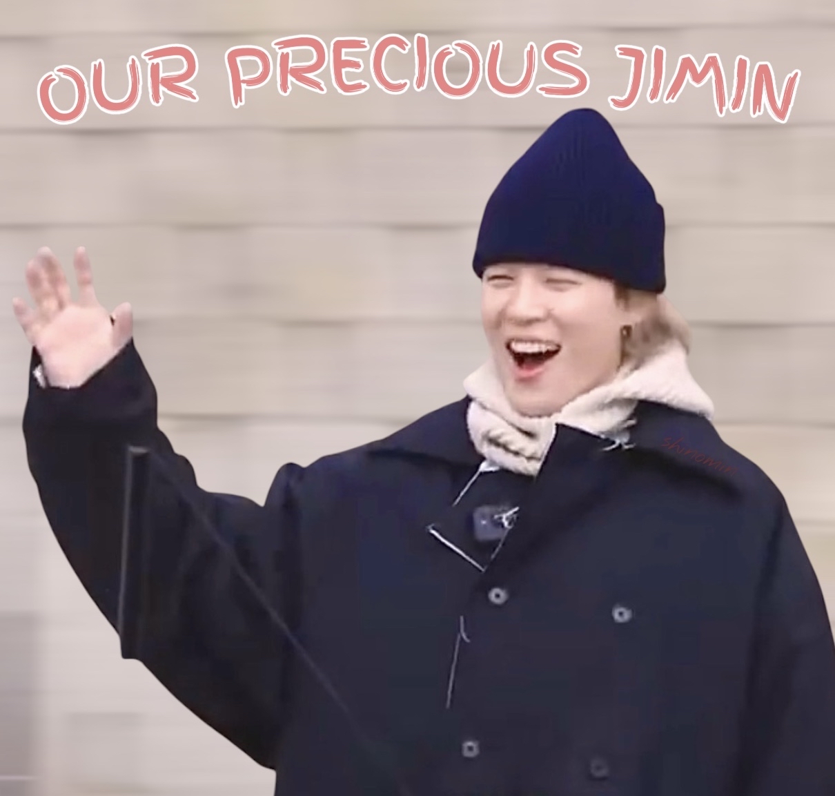 A moment captured by Jimin (BTS)'s fan
