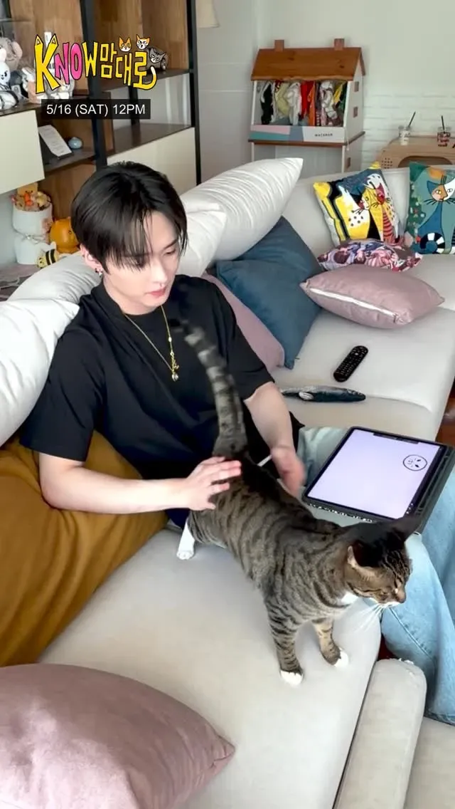 Recent activity shot of Lee Know (Stray Kids)
