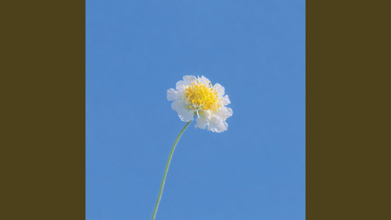 Behind-the-scenes cut of PENTAGON