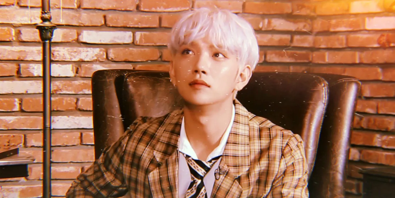 세븐틴 팬이 찍은 순간