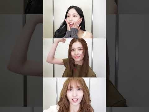 TWICE의 최신 사진