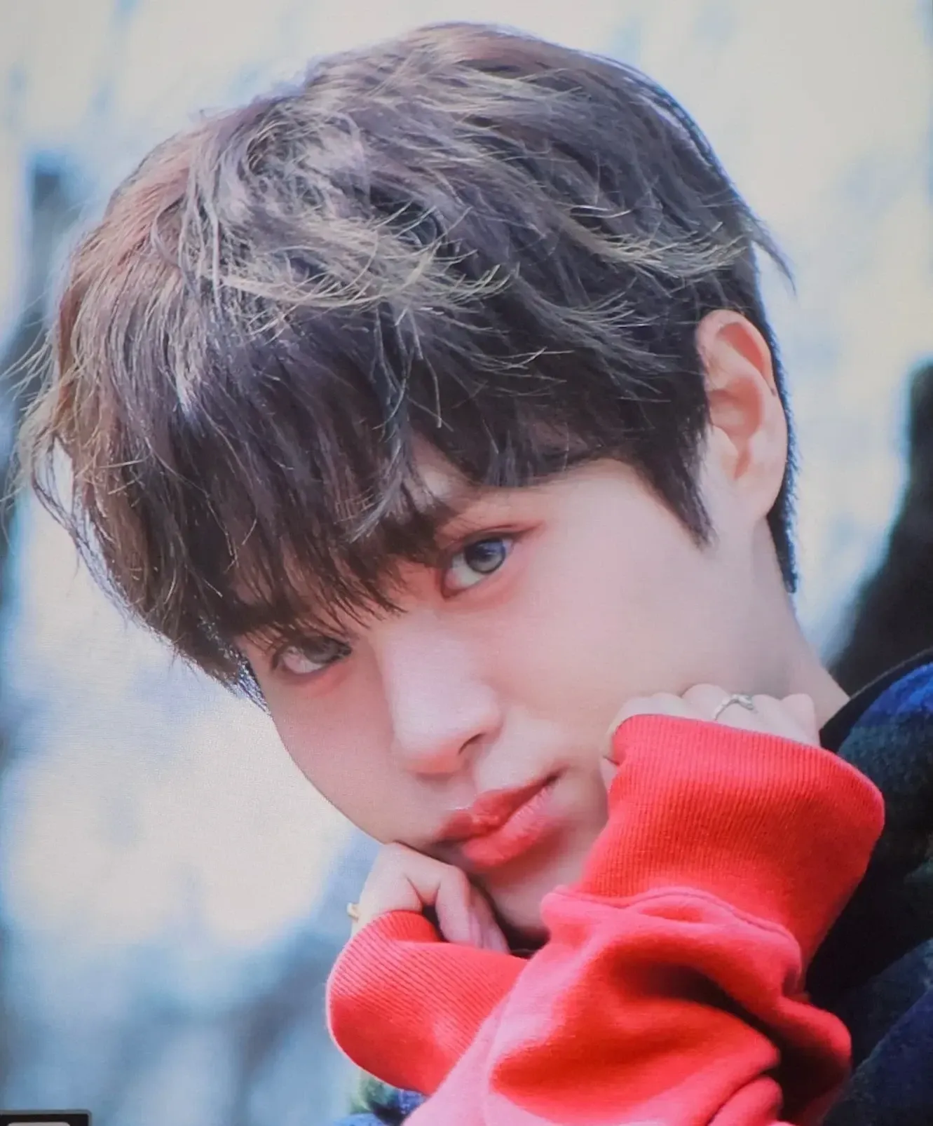 李大輝 (AB6IX)粉絲拍下的瞬間