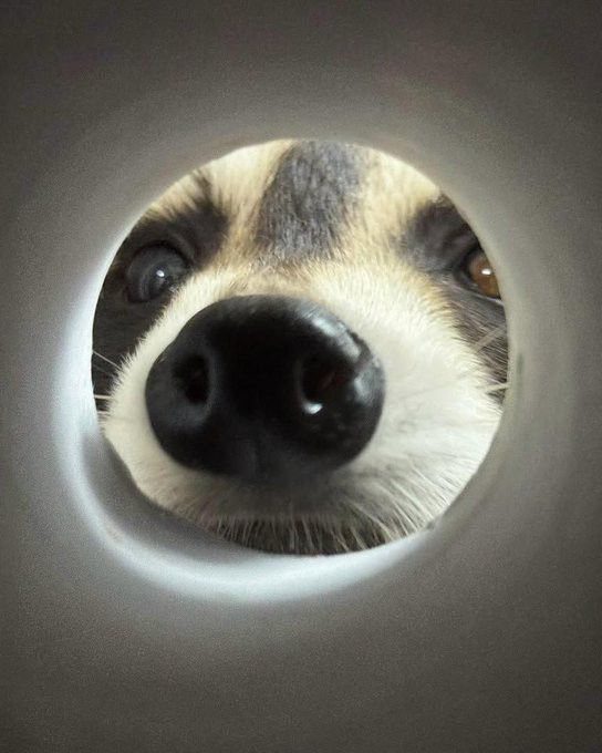 Latest photo of Zayyan (XODIAC)