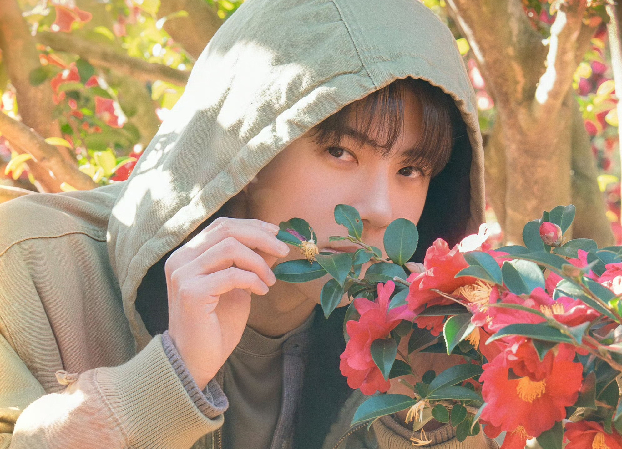 Trending idol content in the community