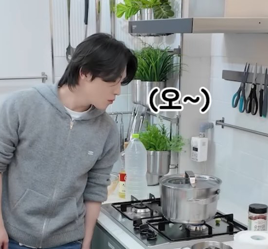 A moment captured by Dino (SEVENTEEN)'s fan