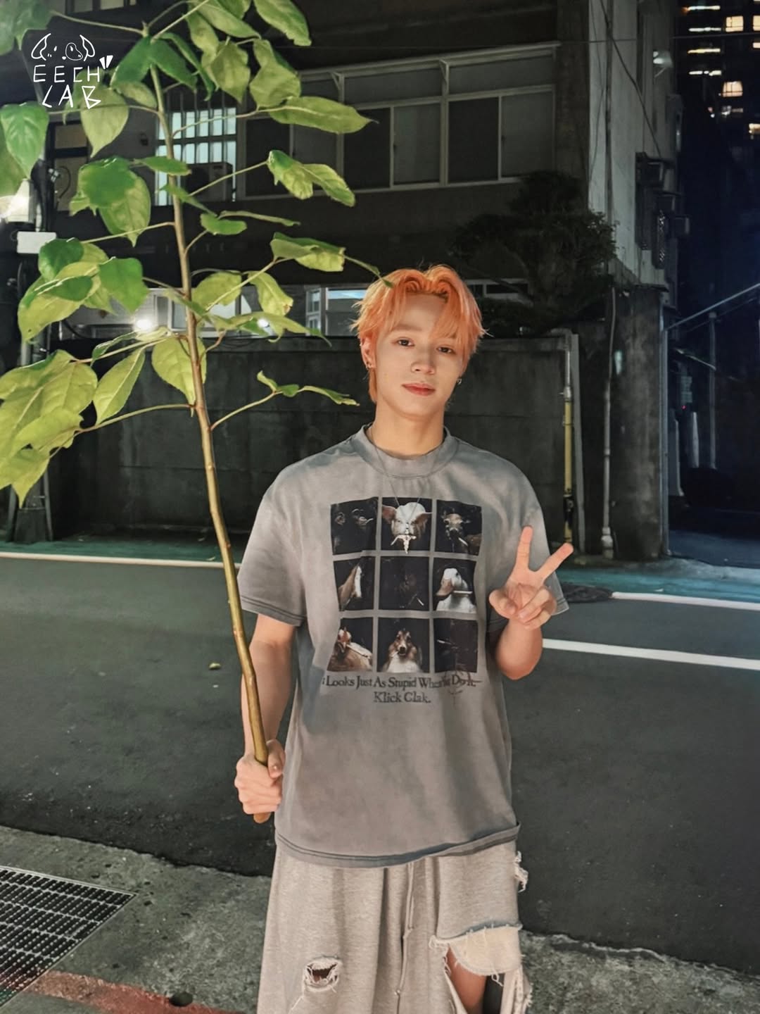 Recent activity shot of D'om (SEVENTOEIGHT)