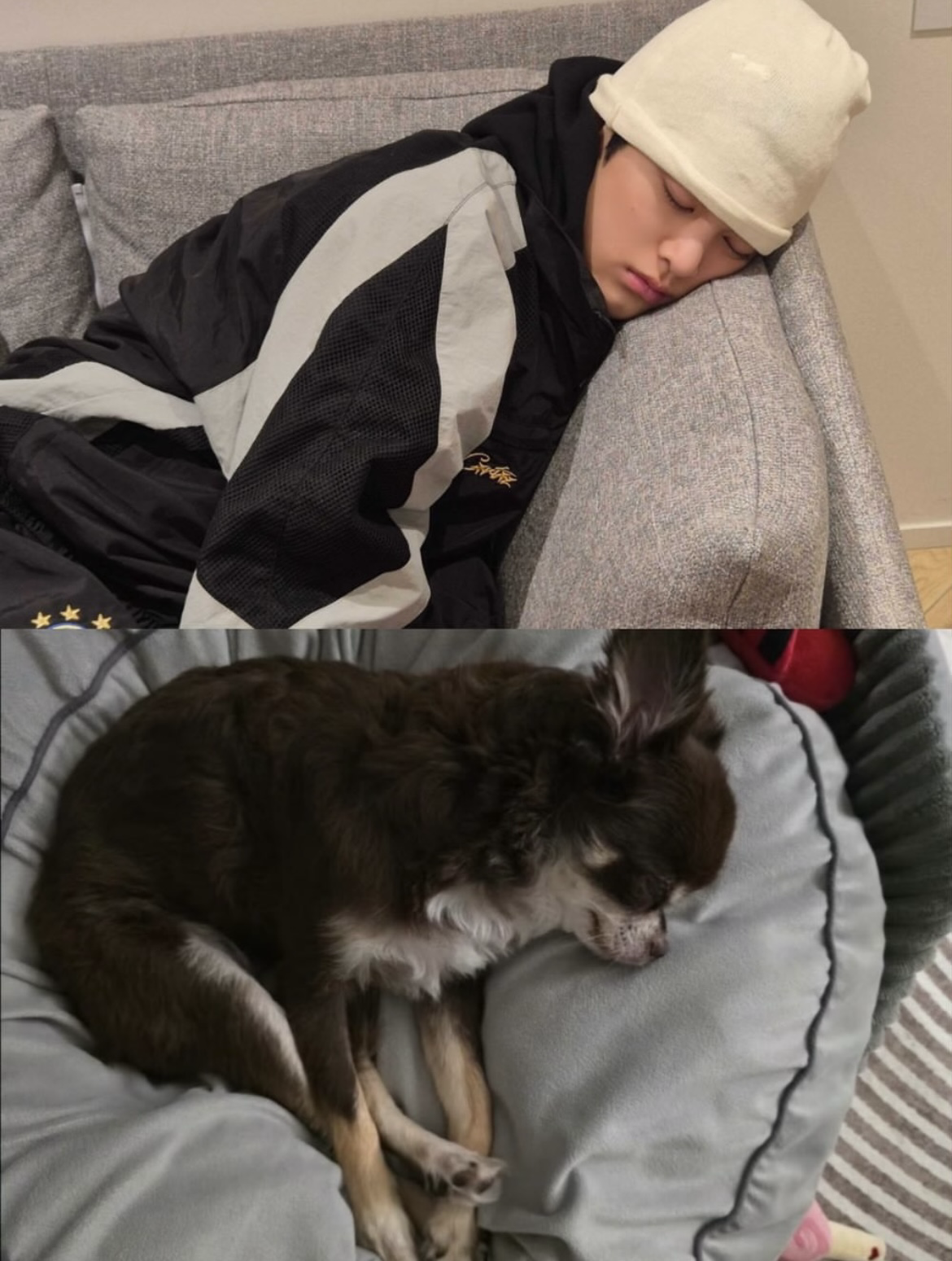 Latest photo of CORTIS