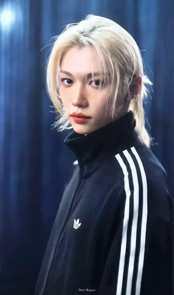 Fandom-recommended wallpaper image of Felix (Stray Kids)