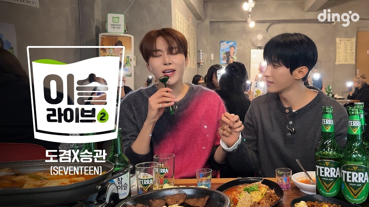 세븐틴 팬이 찍은 순간