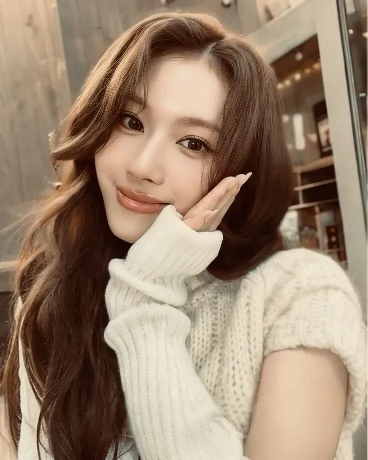 사나 (TWICE) 팬이 찍은 순간