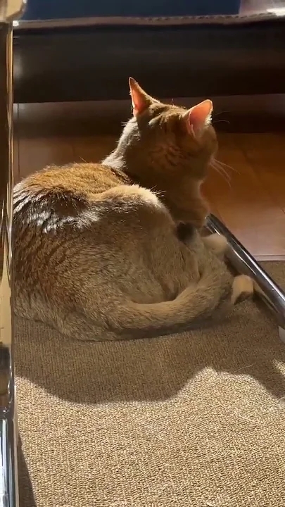 A heartfelt wallpaper shared by Kang Daniel's fans