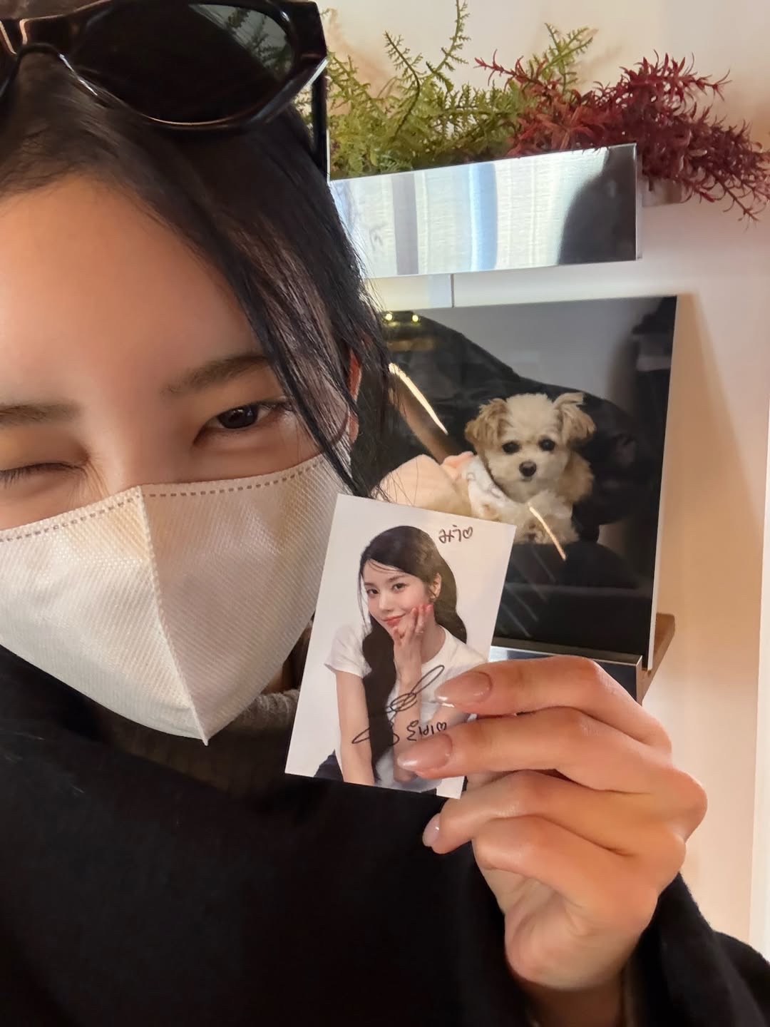 A moment captured by Sakurai Miu (ME:I)'s fan