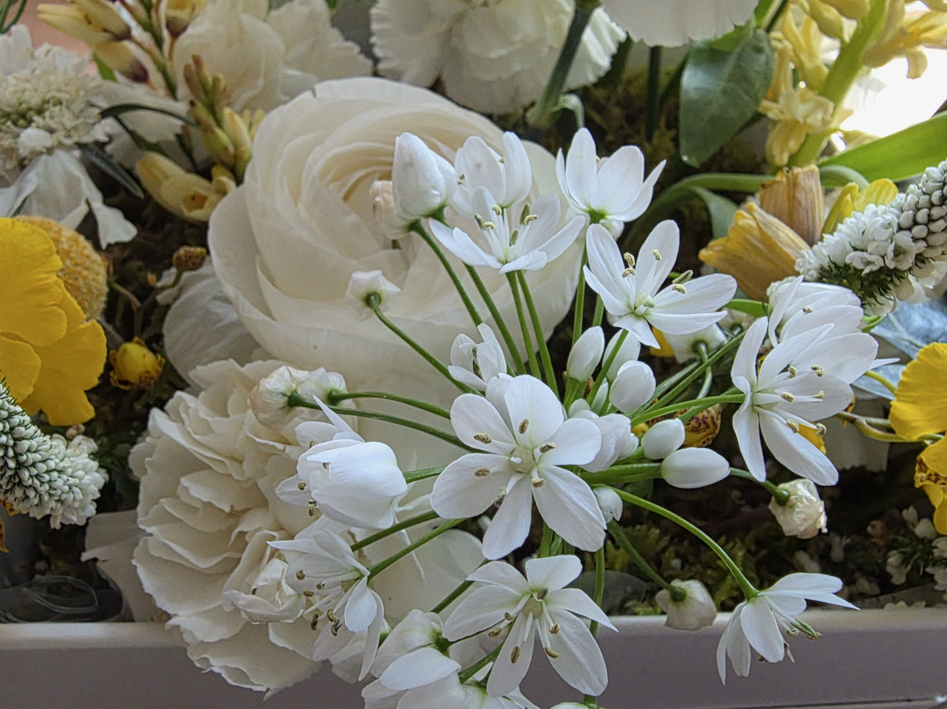 A moment captured by Noah (PLAVE)'s fan