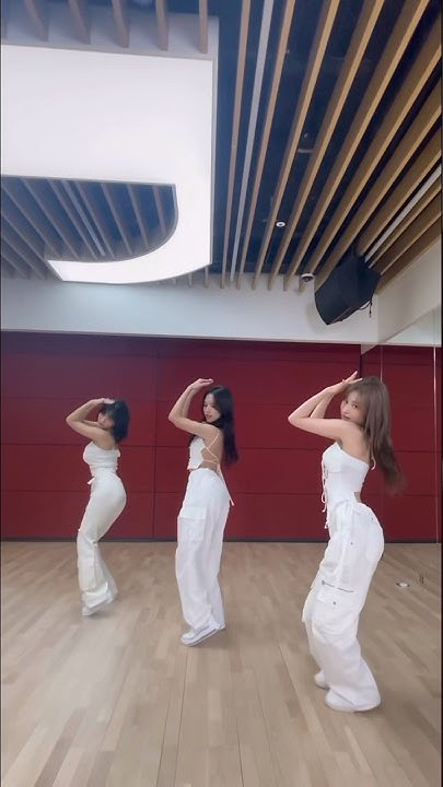 Momen yang diabadikan oleh penggemar TWICE