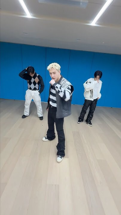 Stray Kids 최근 활동샷