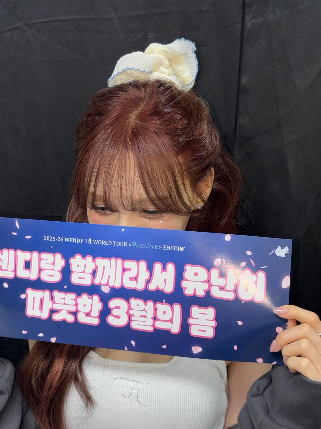 레드벨벳 팬이 찍은 순간