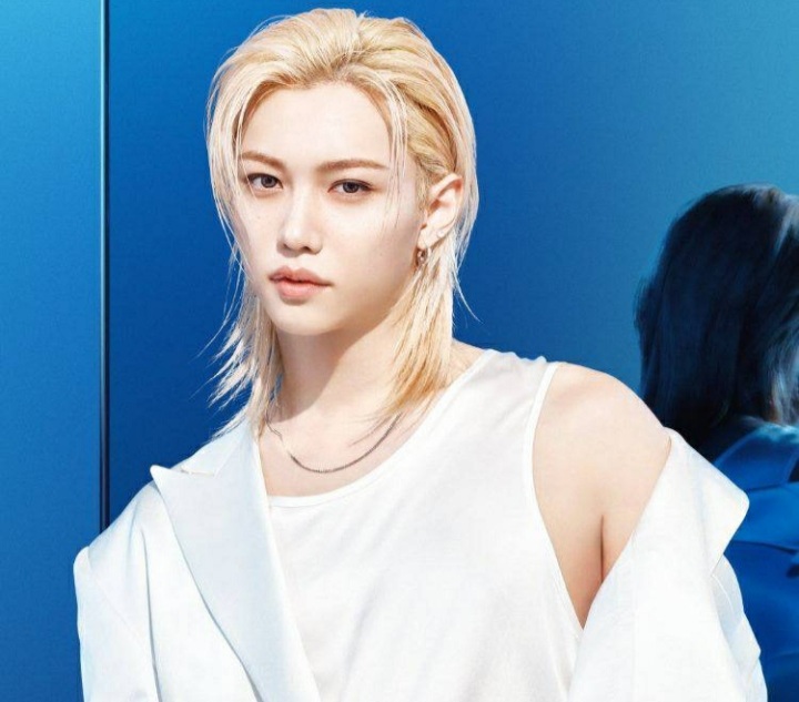 A moment captured by Felix (Stray Kids)'s fan