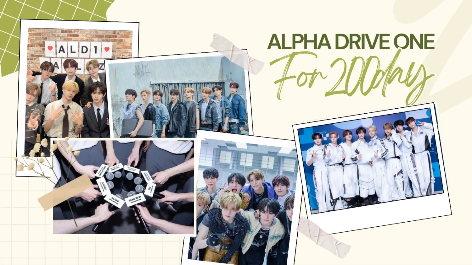 알파드라이브원 팬이 찍은 순간