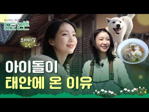 A moment captured by OH MY GIRL's fan