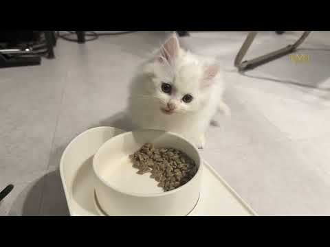 Behind-the-scenes cut of Lim Youngmin