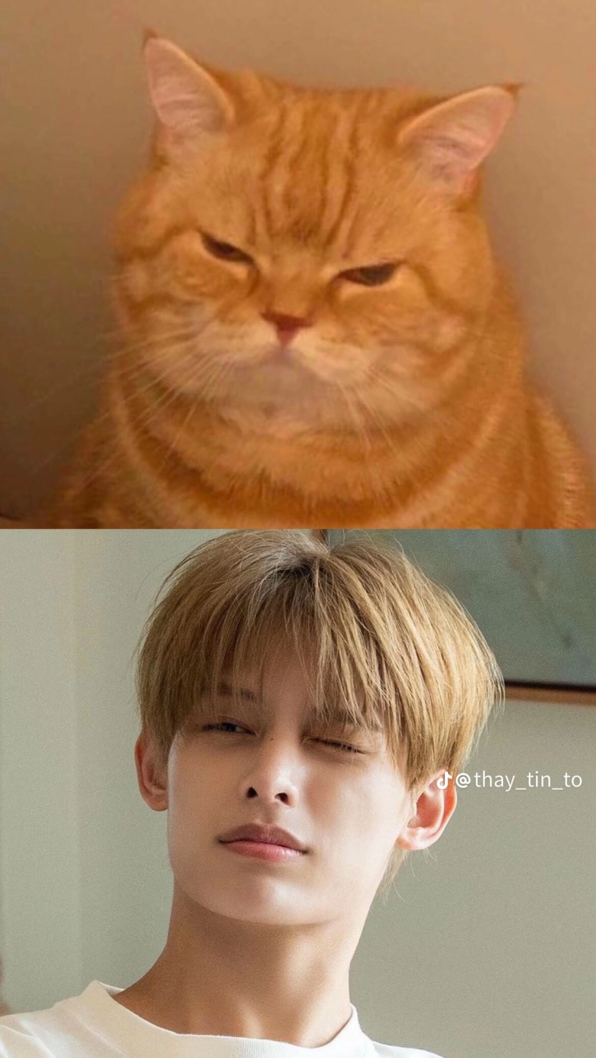 Fan-made special wallpaper for James (CORTIS)