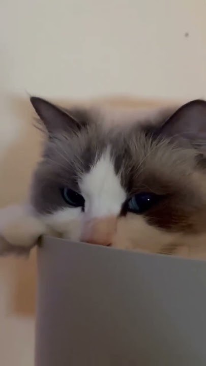 강다니엘의 최신 사진