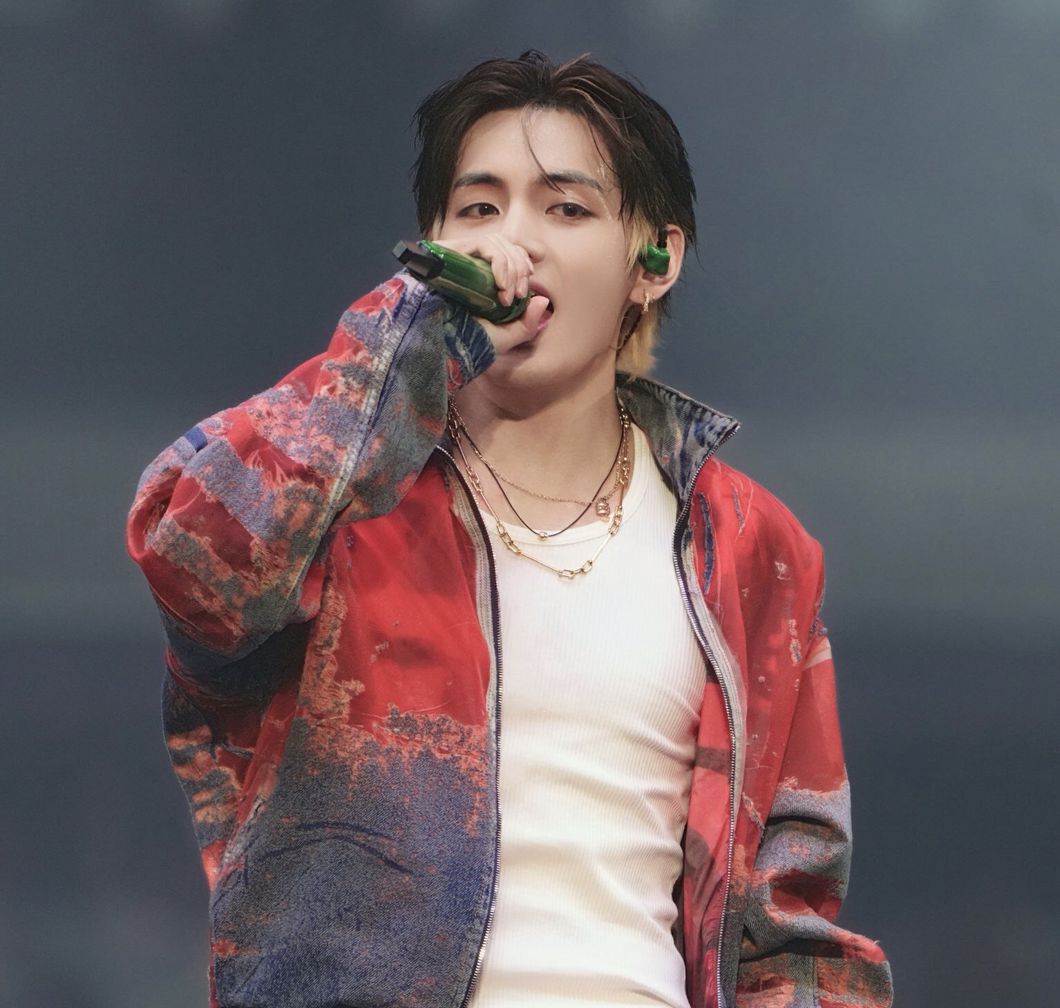 V (BTS)ファンが撮った瞬間