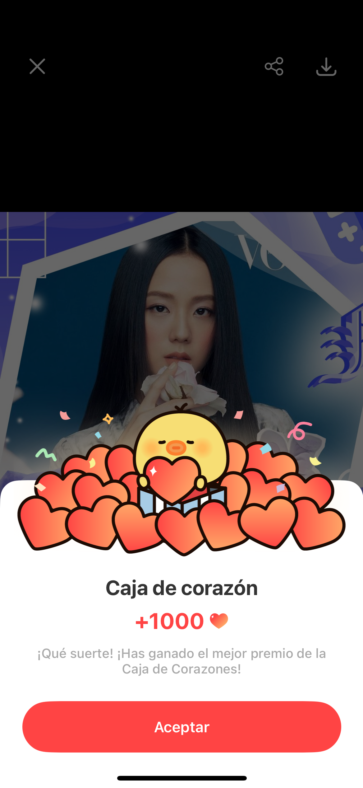 BLACKPINK 팬이 찍은 순간