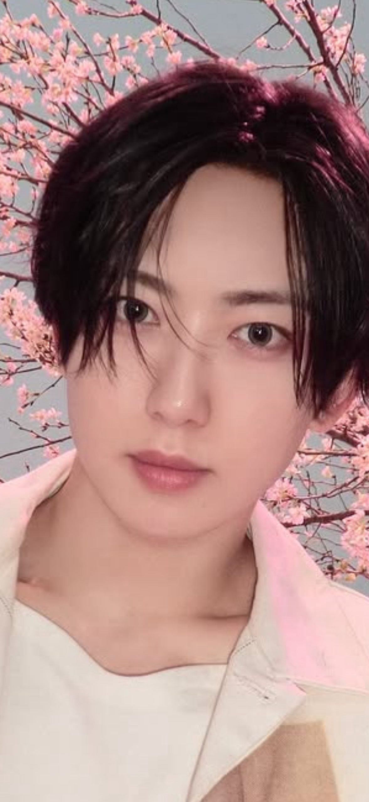 Behind-the-scenes cut of Fuma (&TEAM)