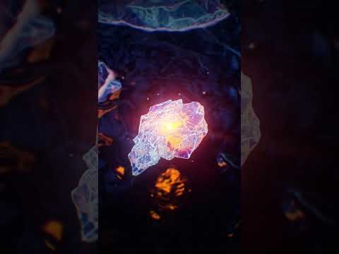 Latest photo of Bamby (PLAVE)