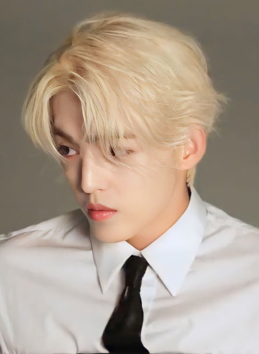 A moment captured by S.Coups (SEVENTEEN)'s fan