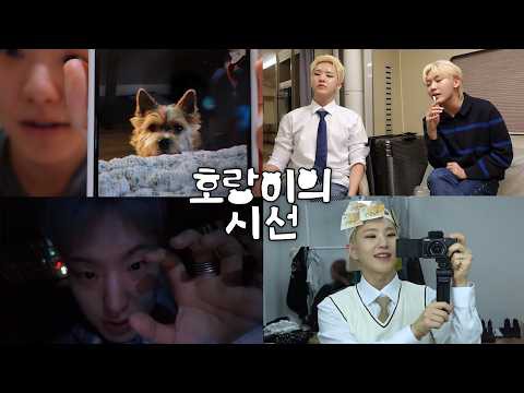 세븐틴의 최신 사진