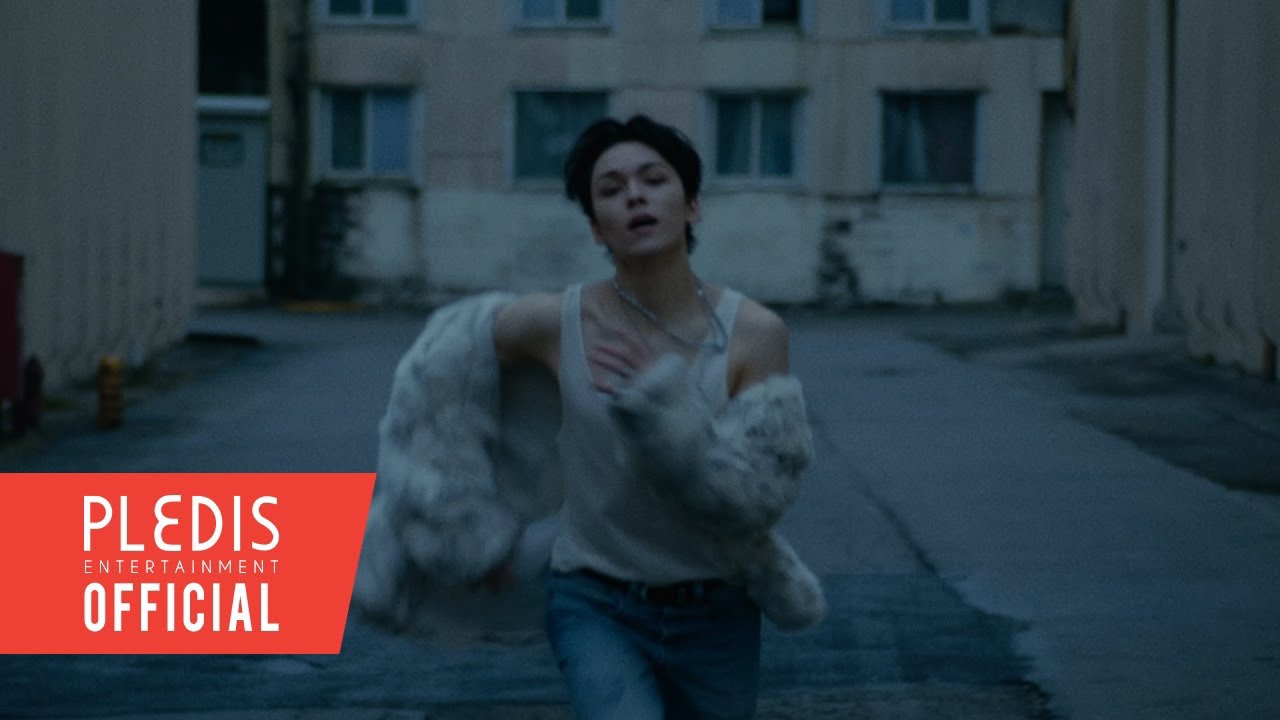 세븐틴 팬이 찍은 순간