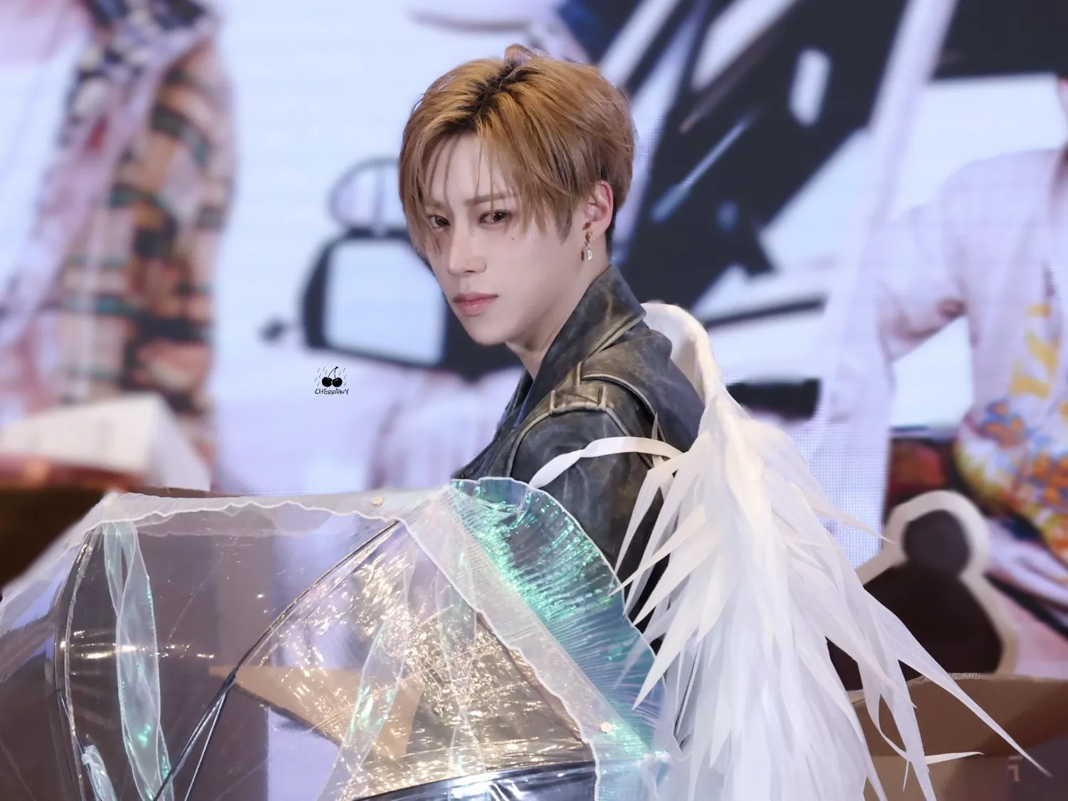 Recent activity shot of Arno (ALPHA DRIVE ONE)