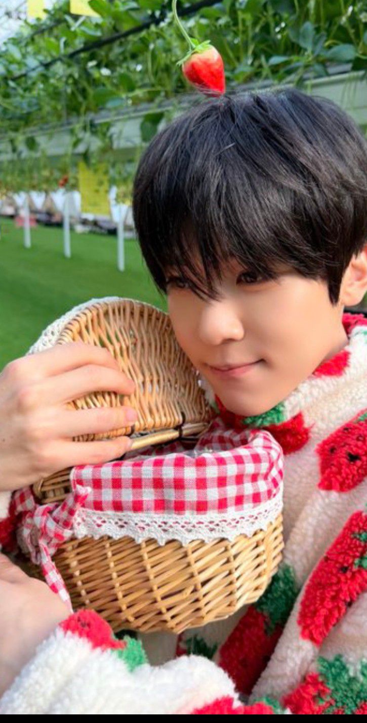 Latest photo of Sion (NCT WISH)