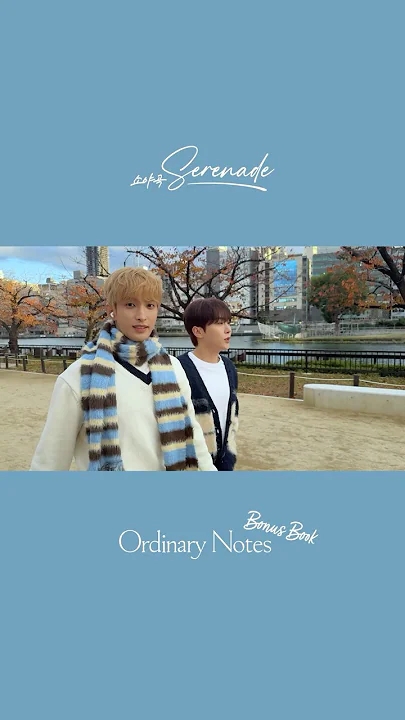 Fan-made special wallpaper for SEVENTEEN