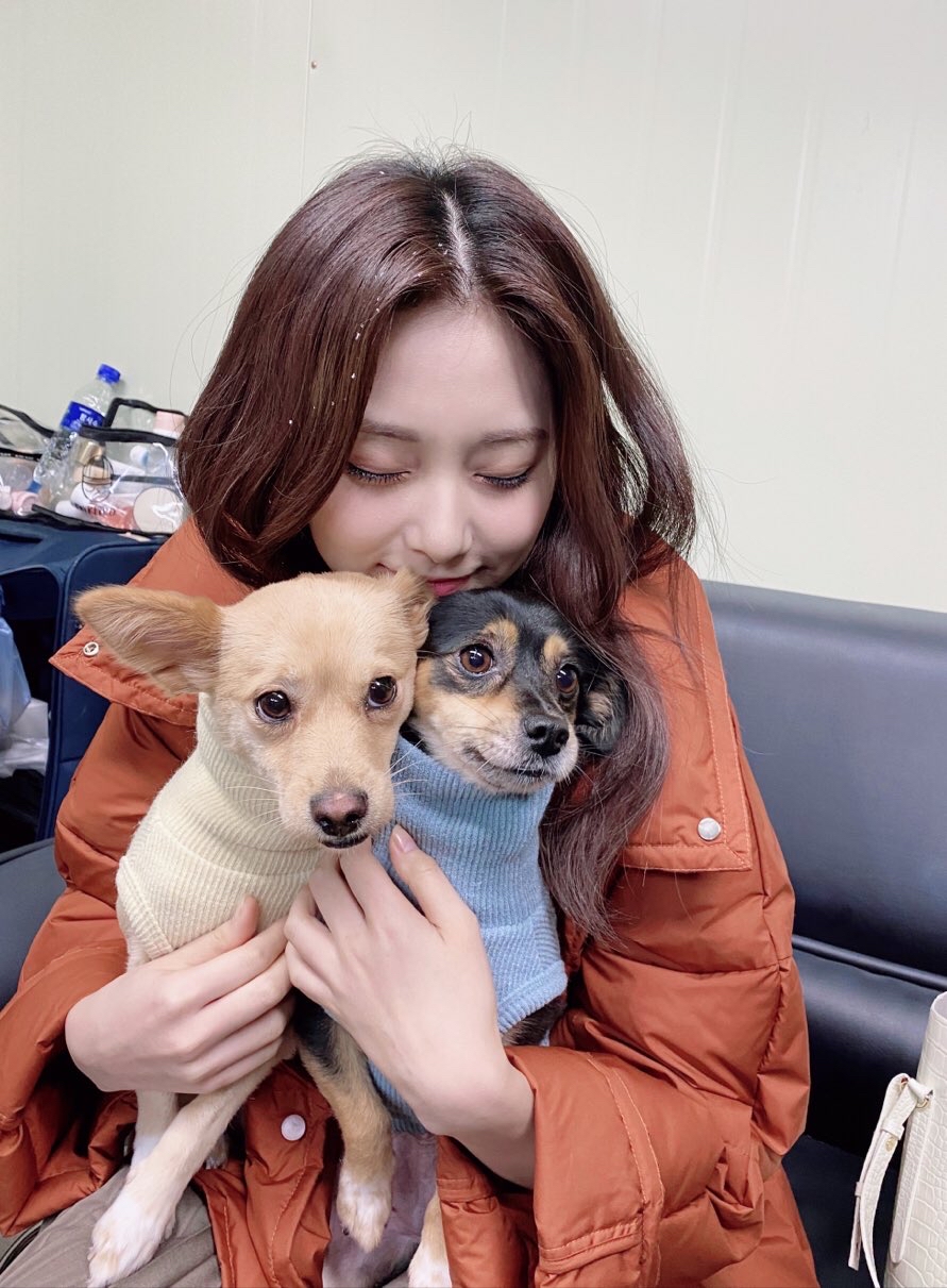 Foto aktivitas terbaru Tzuyu (TWICE)