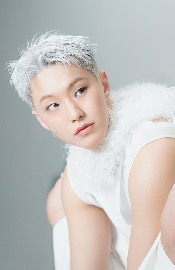 A moment captured by Hoshi (SEVENTEEN)'s fan