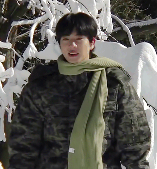 A moment captured by Jin (BTS)'s fan