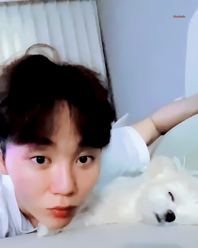 community_articles_contents