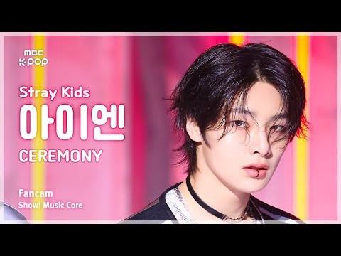 Recent activity shot of Stray Kids