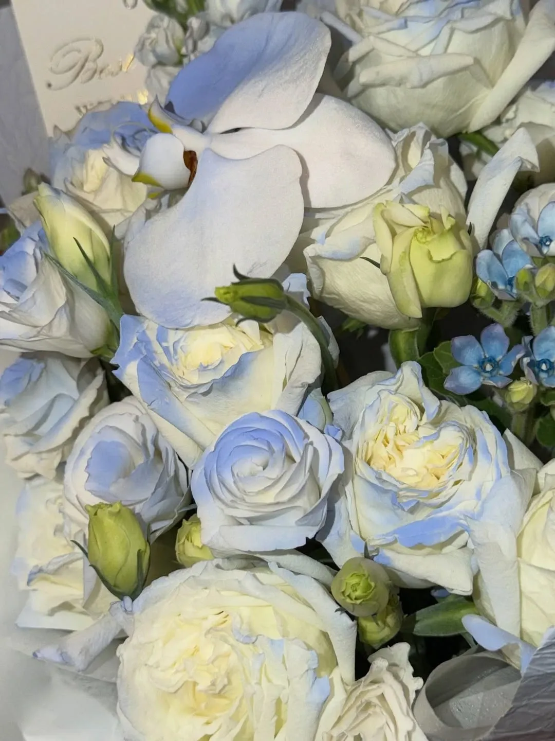 Latest photo of SinB (GFRIEND, VIVIZ)